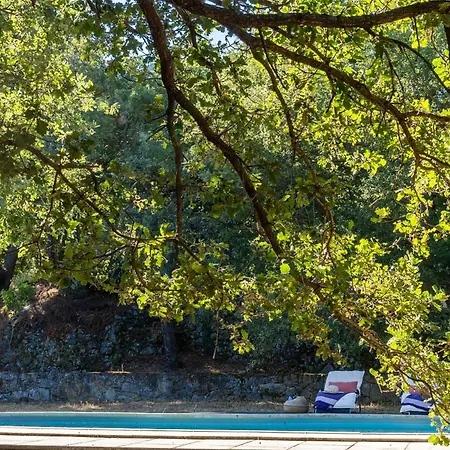 Casa U Quercitellu Vakantiehuis *