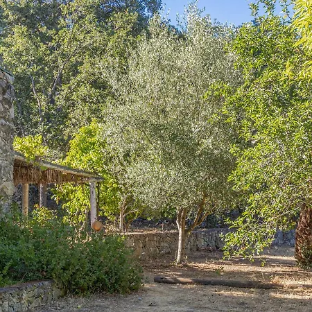 Casa U Quercitellu Vakantiehuis