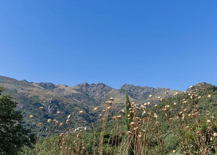 Vakantiehuis Casa U Quercitellu *