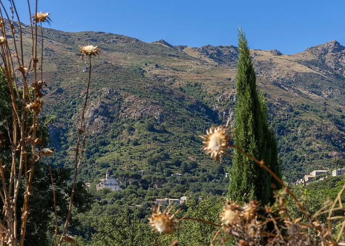 Casa U Quercitellu Ville-di-Paraso